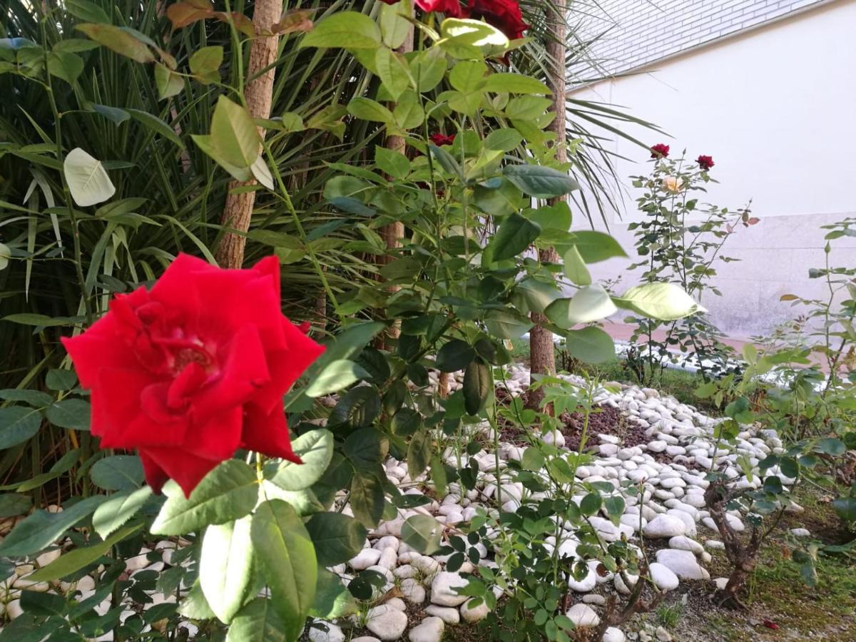 Mediterranea Ла-Пінеда Екстер'єр фото